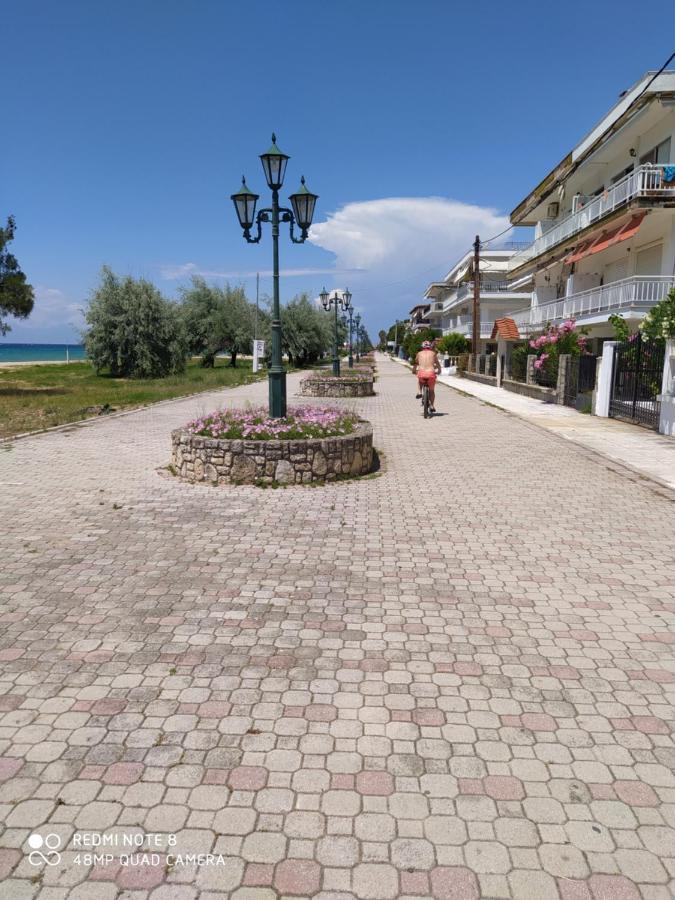 Hause Zorbas Aparthotel Paralia Dionisiou Exterior foto