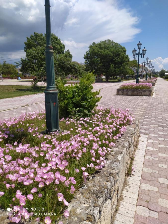 Hause Zorbas Aparthotel Paralia Dionisiou Exterior foto